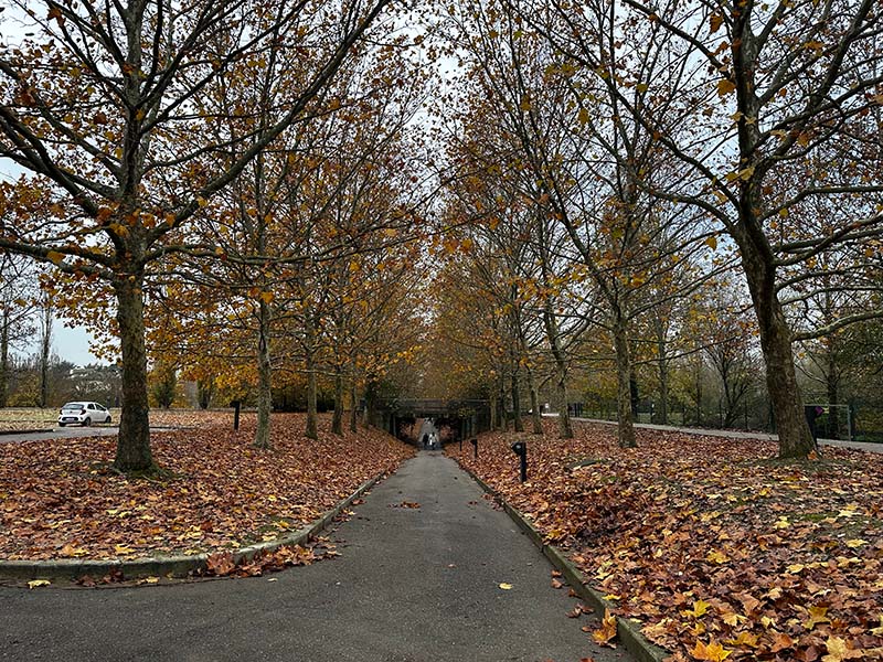 Parco Urbano Franco Agosto a Forlì
