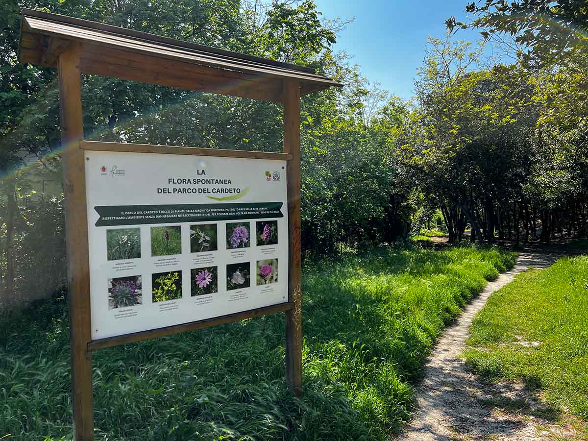 Parco del Cardeto ad Ancona nelle Marche