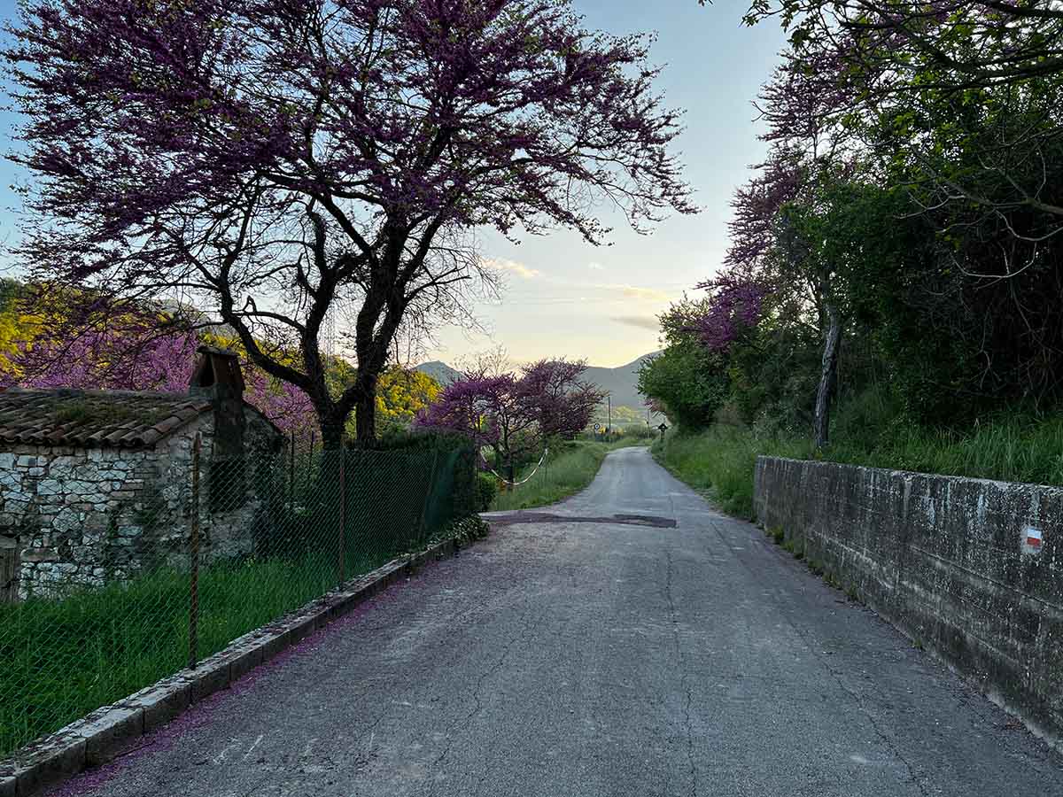 Via Marmitte dei Giganti canyon a Fossombrone nelle Marche