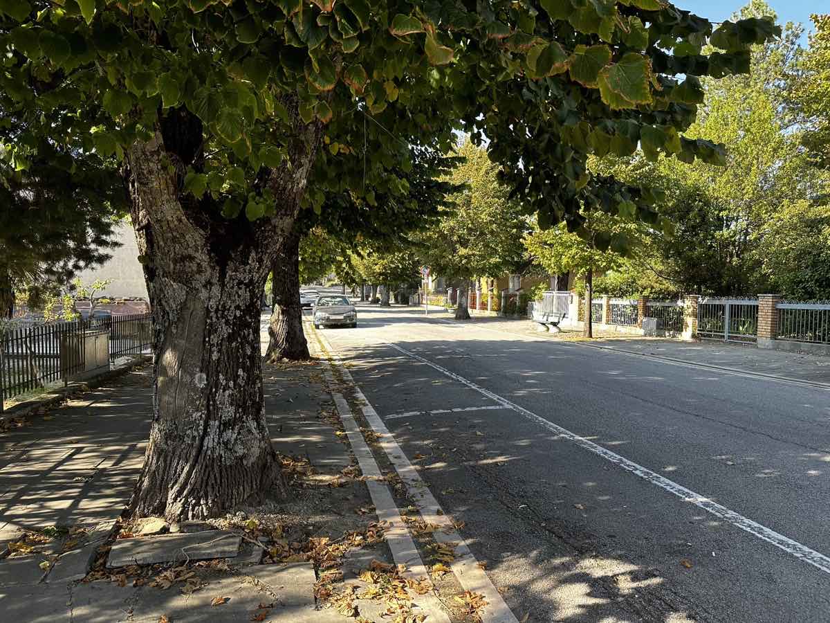 Parcheggi sul Viale Vittorio Emanuele II a Monte Grimano Terme