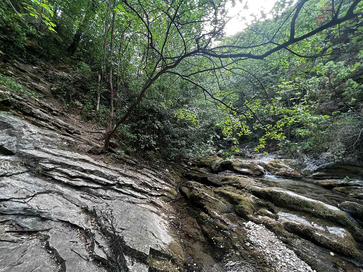 Tragitto naturalistico a Rio Vitoschio tra Piobbico e Apecchio nelle Marche