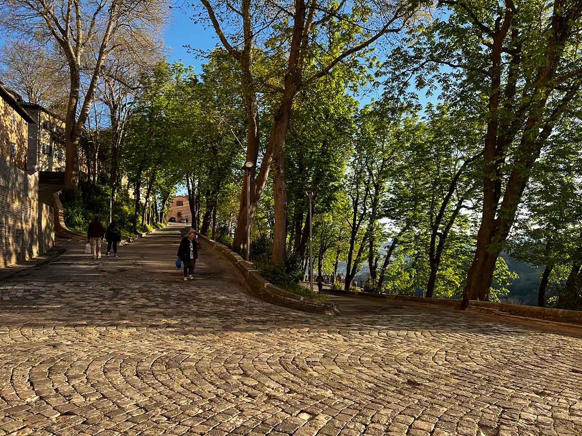 Il Pincio ad Urbino Il Pincio ad Urbino