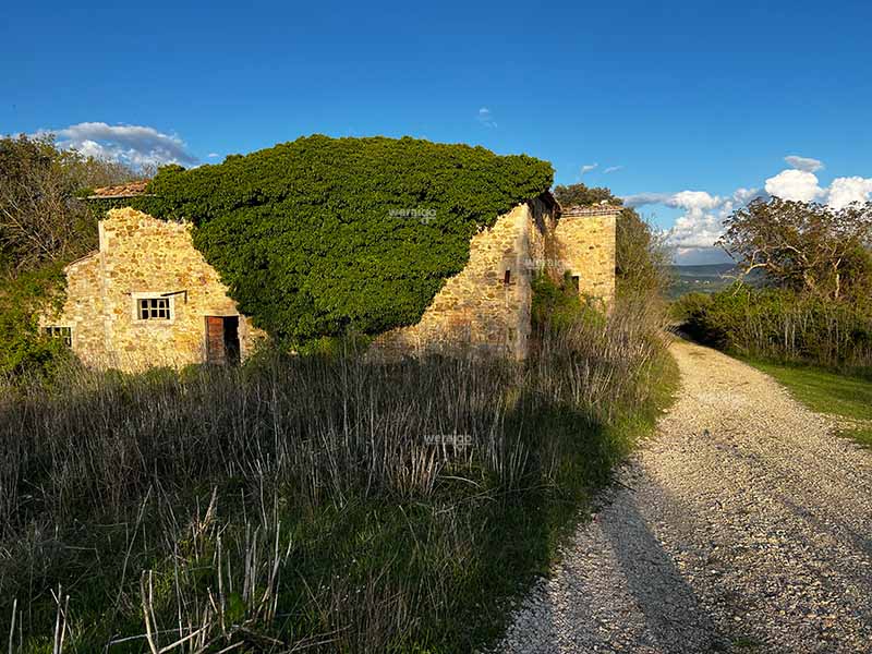 La casa abbandonata sul sentiero della Roccaccia in Titignano