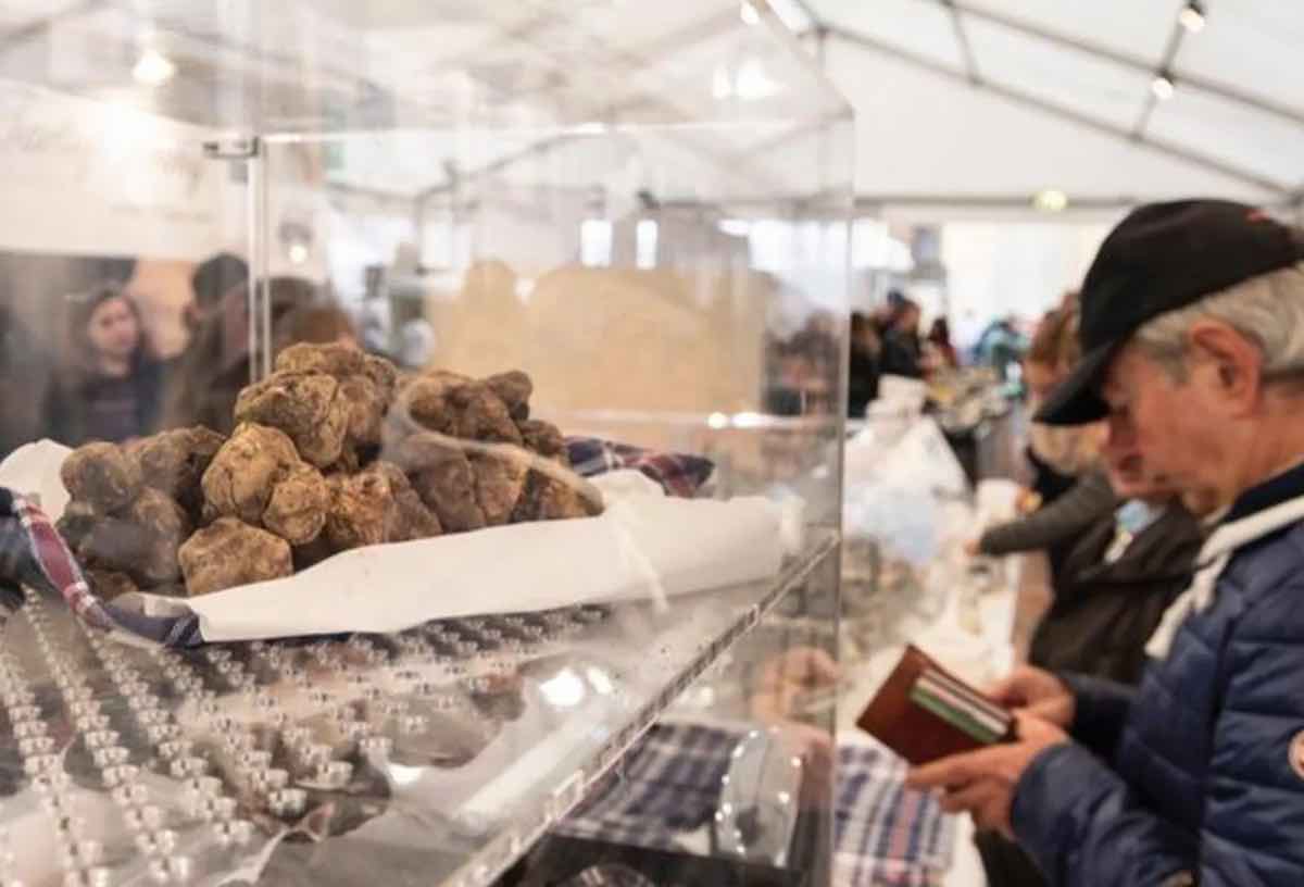 Mostra Nazionale del Tartufo Bianco Pregiato a Sant’Angelo in Vado Mostra Nazionale del Tartufo Bianco Pregiato a Sant'Angelo in Vado