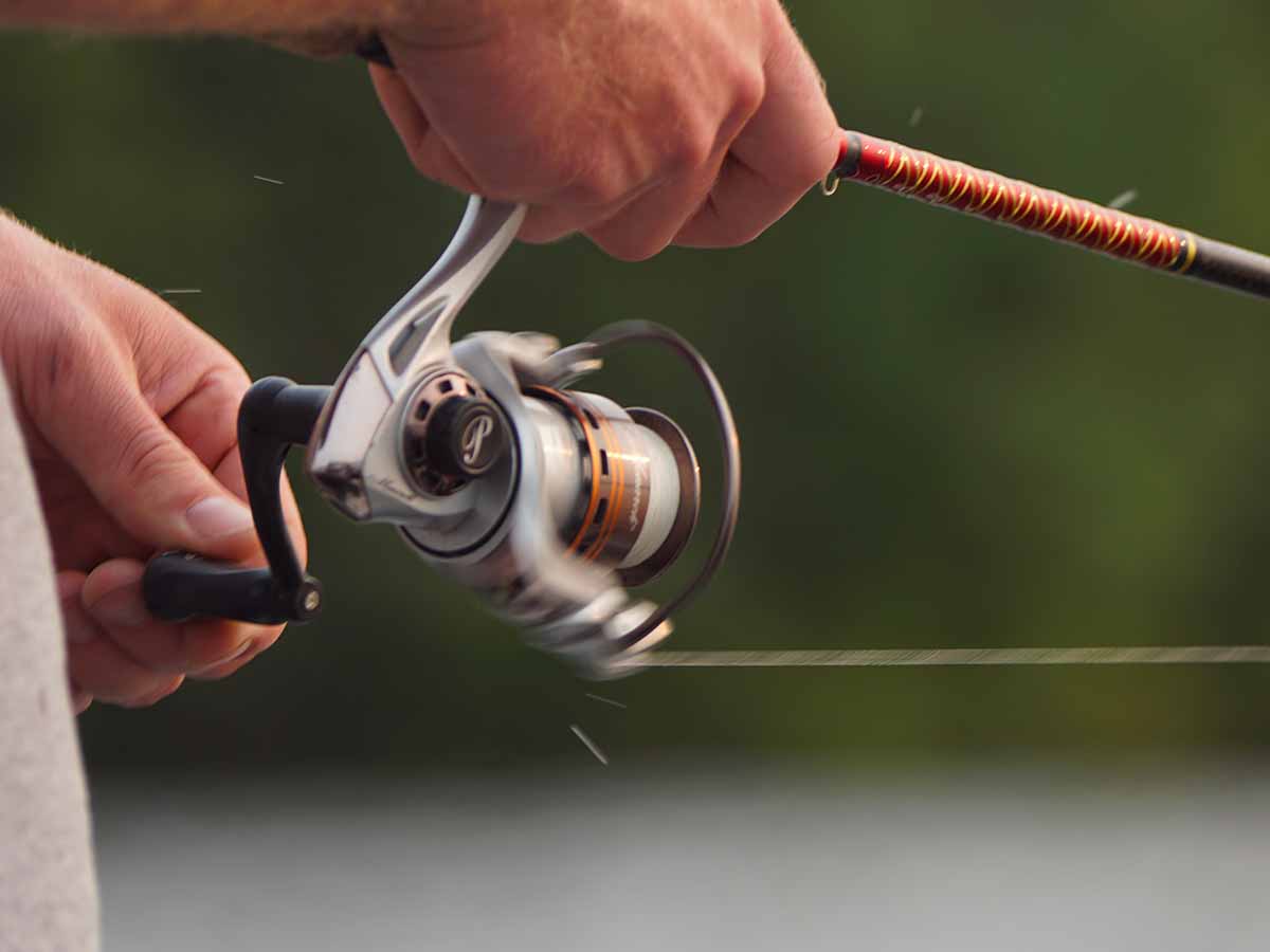 Pesca sportiva Pesca sportiva