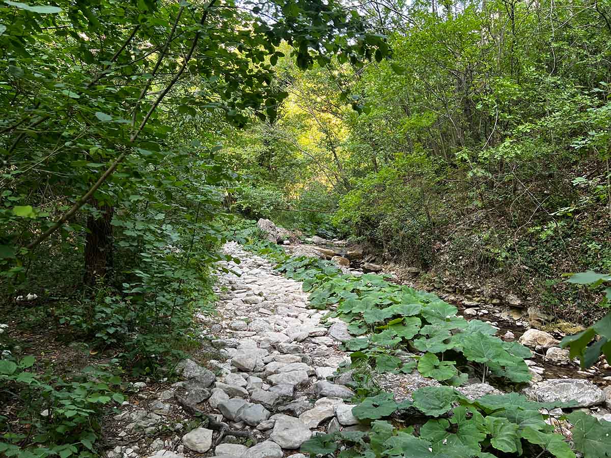 Sentiero roccioso a Rio Vitoschio tra Piobbico e Apecchio nelle Marche